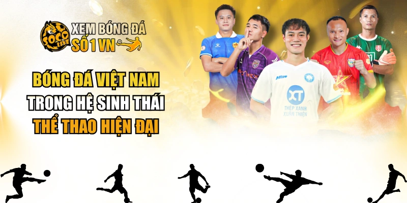 Bóng Đá Việt Nam Trong Hệ Sinh Thái Thể Thao Hiện Đại